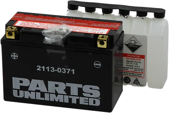 Parts Unlimited AGM Maintenance Free Battery  YT9B-BS