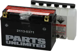 Parts Unlimited AGM Maintenance Free Battery  YT9B-BS