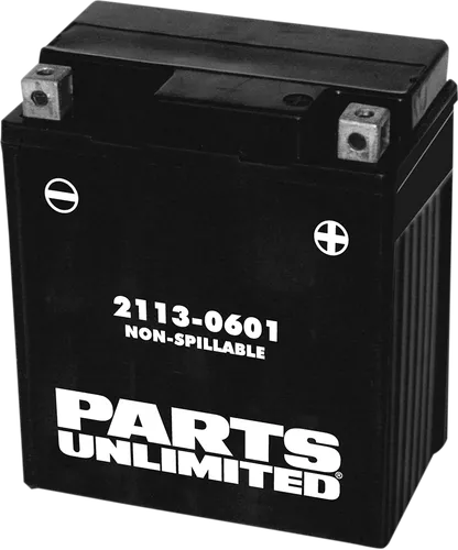 PU AGM Maintenance Free Battery YTZ8V
