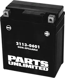 PU AGM Maintenance Free Battery YTZ8V