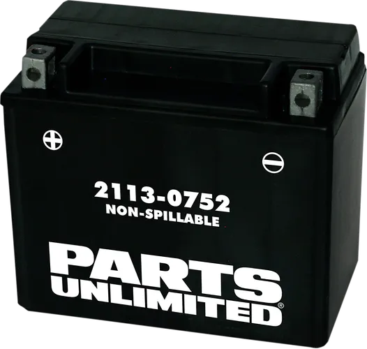 Parts Unlimited AGM Maintenance Free Battery YTX12