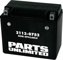 Parts Unlimited AGM Maintenance Free Battery YTX12