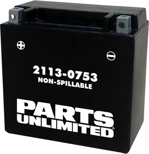 Parts Unlimited AGM Maintenance Free Battery YTX14