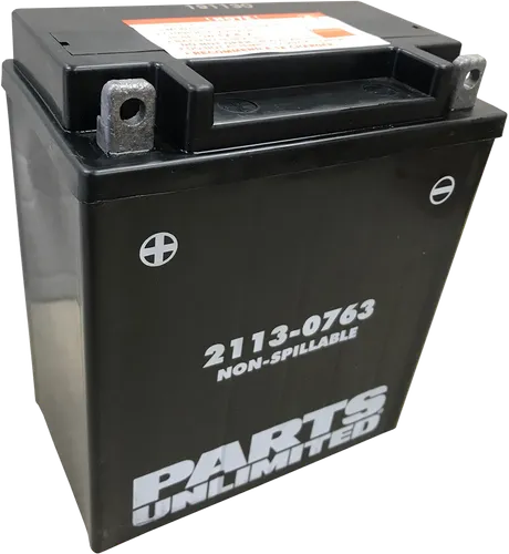 Parts Unlimited AGM Maintenance Free Battery YB12A-A