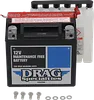 DS AGM Maintenance Free Battery YTX14L-BSFT