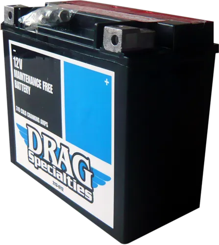DS AGM Maintenance Free Battery YTX20HL-BSFT