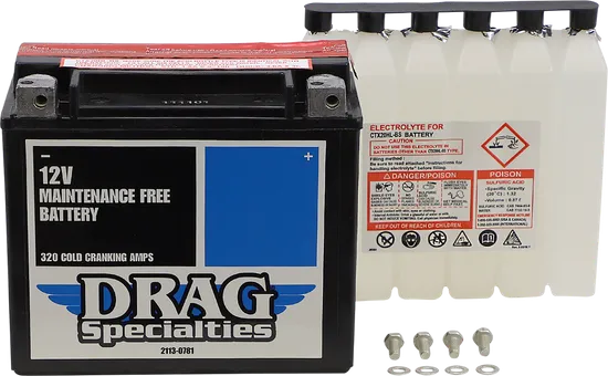 DS AGM Maintenance Free Battery YTX20HL-BSFT