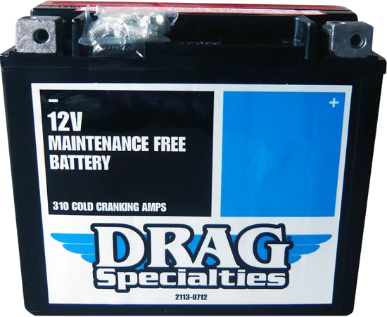 DS AGM Maintenance Free Battery YTX20HL-BSFT