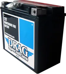DS AGM Maintenance Free Battery YTX20HL-BSFT