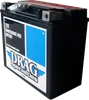 DS AGM Maintenance Free Battery YTX20HL-BSFT