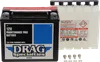 DS AGM Maintenance Free Battery YTX20HL-BSFT