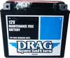 DS AGM Maintenance Free Battery YTX20HL-BSFT