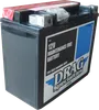 DS AGM Maintenance Free Battery YTX20HL-BSFT