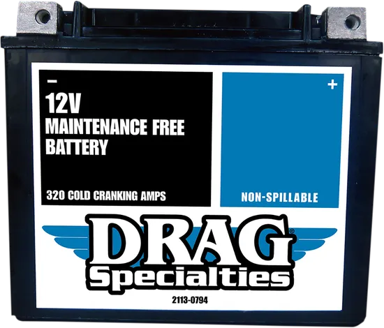 DS AGM Maintenance Free Battery YTX20HL FT