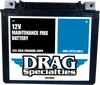 DS AGM Maintenance Free Battery YTX20HL FT