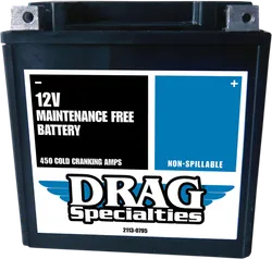 DS AGM Maintenance Free Battery CTX30L FT