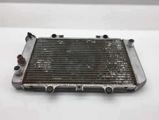 Engine Radiator Cooling 2006 Yamaha Grizzly 660 YFM660FA 4x4 2276A
