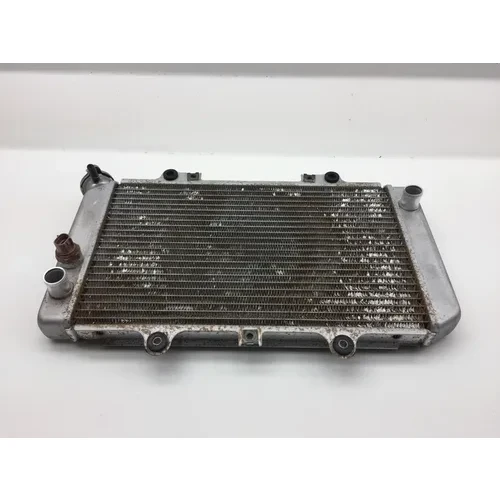 Engine Radiator Cooling 2006 Yamaha Grizzly 660 YFM660FA 4x4 2276A