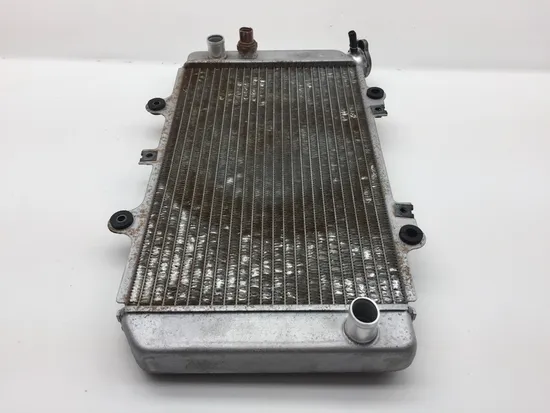 Engine Radiator Cooling 2006 Yamaha Grizzly 660 YFM660FA 4x4 2276A