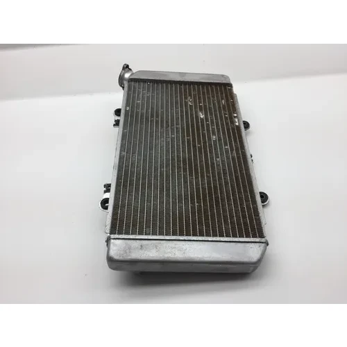 Engine Radiator Cooling 2006 Yamaha Grizzly 660 YFM660FA 4x4 2276A 3