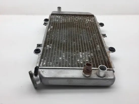 Engine Radiator Cooling 2006 Yamaha Grizzly 660 YFM660FA 4x4 2276A