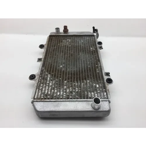 Engine Radiator Cooling 2006 Yamaha Grizzly 660 YFM660FA 4x4 2276A 2