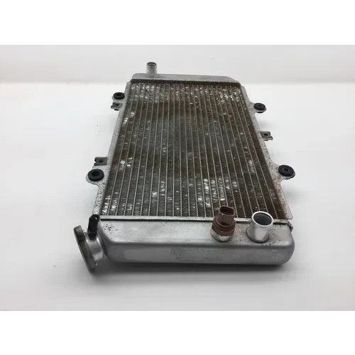 Engine Radiator Cooling 2006 Yamaha Grizzly 660 YFM660FA 4x4 2276A 5