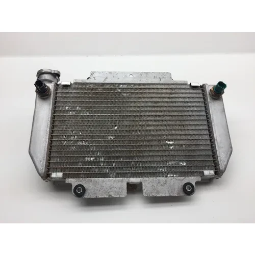 Engine Radiator Cooling 2008 Yamaha YFZ450 2246A