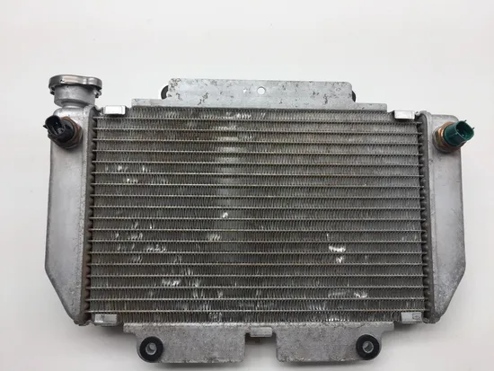 Engine Radiator Cooling 2008 Yamaha YFZ450 2246A