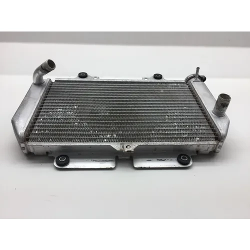 Engine Radiator Cooling 2008 Yamaha YFZ450 2246A 3