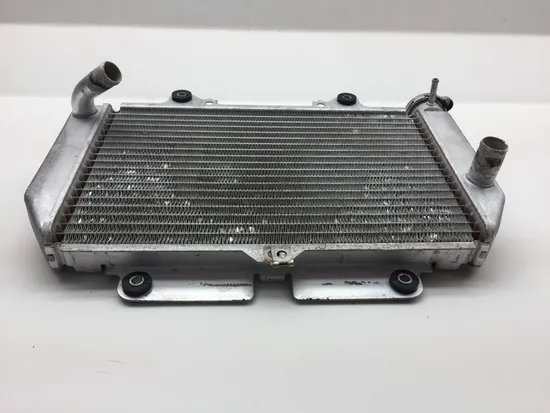 Engine Radiator Cooling 2008 Yamaha YFZ450 2246A