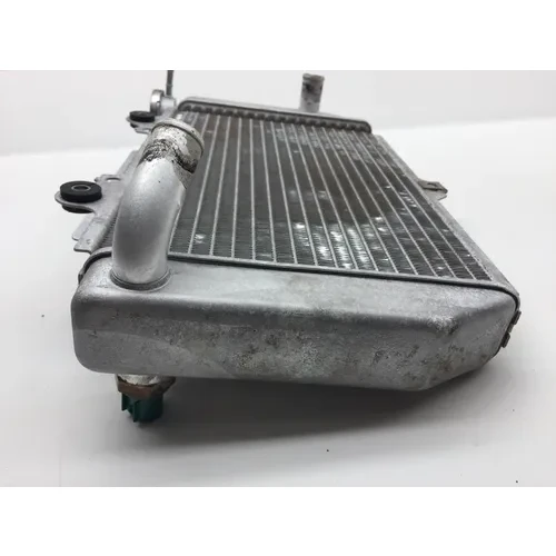 Engine Radiator Cooling 2008 Yamaha YFZ450 2246A 5