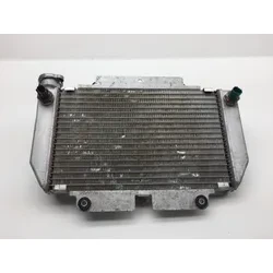 Engine Radiator Cooling 2008 Yamaha YFZ450 2246A