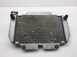 Engine Radiator Cooling 2008 Yamaha YFZ450 2246A