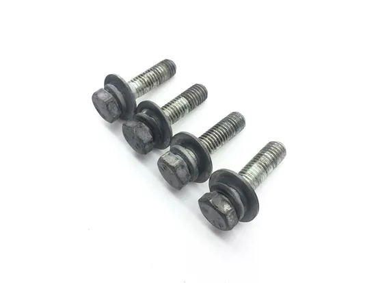 Rear Shock Bolts 2001 Harley-Davidson Road King EFI FLHRI 2289