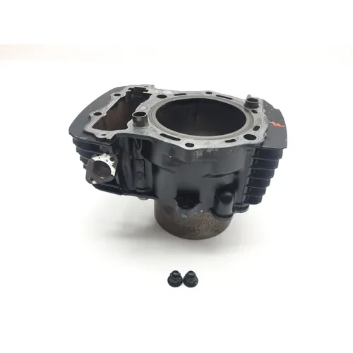 Engine Cylinder Jug Front 2002 Kawasaki Vulcan 1500 VN1500L Nomad FI 2281 x