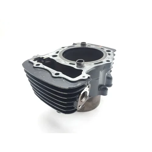 Engine Cylinder Jug Front 2002 Kawasaki Vulcan 1500 VN1500L Nomad FI 2281 x 4