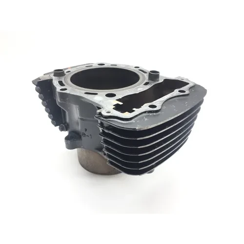 Engine Cylinder Jug Front 2002 Kawasaki Vulcan 1500 VN1500L Nomad FI 2281 x 3