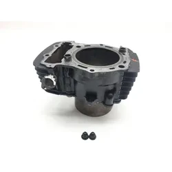 Engine Cylinder Jug Front 2002 Kawasaki Vulcan 1500 VN1500L Nomad FI 2281 x