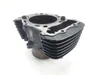 Engine Cylinder Jug Front 2002 Kawasaki Vulcan 1500 VN1500L Nomad FI 2281 x