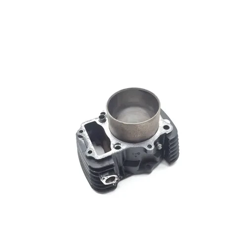 Engine Cylinder Jug Rear 2002 Kawasaki Vulcan 1500 VN1500L Nomad FI 2281 x 6