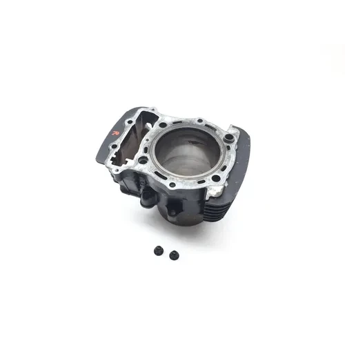 Engine Cylinder Jug Rear 2002 Kawasaki Vulcan 1500 VN1500L Nomad FI 2281 x