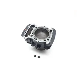 Engine Cylinder Jug Rear 2002 Kawasaki Vulcan 1500 VN1500L Nomad FI 2281 x