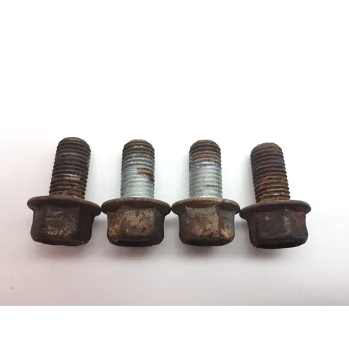 Footpeg Foot Peg Bolts 2008 Yamaha Raptor 250 YFM250R 2299A 2
