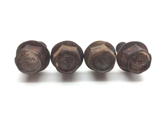 Footpeg Foot Peg Bolts 2008 Yamaha Raptor 250 YFM250R 2299A