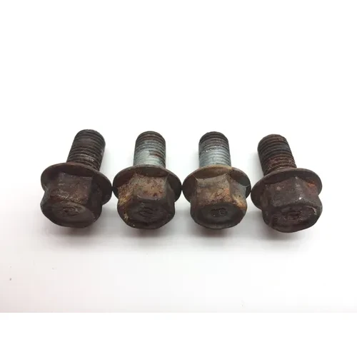Footpeg Foot Peg Bolts 2008 Yamaha Raptor 250 YFM250R 2299A