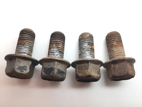 Footpeg Foot Peg Bolts 2010 Yamaha Raptor 250 YFM250R 2312A