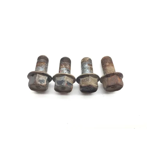 Footpeg Foot Peg Bolts 2010 Yamaha Raptor 250 YFM250R 2312A 1