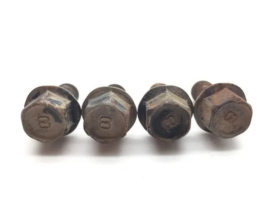 Footpeg Foot Peg Bolts 2010 Yamaha Raptor 250 YFM250R 2312A