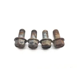 Footpeg Foot Peg Bolts 2010 Yamaha Raptor 250 YFM250R 2312A